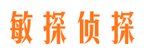 泌阳市侦探调查公司